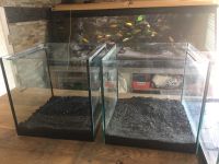 Nur noch 1 Würfel Aquarium Terrarium 50cm x50cm Neupreis 200 Euro Baden-Württemberg - Efringen-Kirchen Vorschau