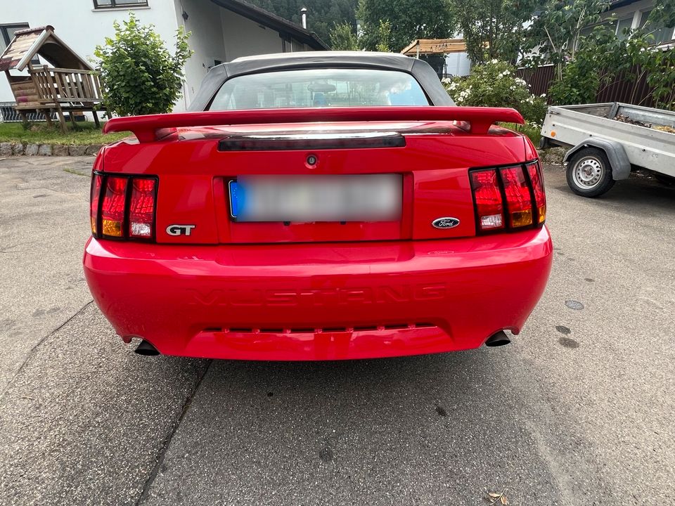 Ford Mustang GT Cabrio in Tuttlingen