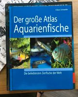 Das Aquarium Baden-Württemberg - Bad Mergentheim Vorschau