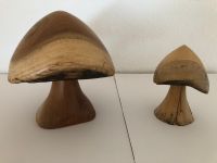 2 Pilze Holz Akazie/Pittosporum (Klebsamen) von den Scilly Inseln Dortmund - Benninghofen Vorschau