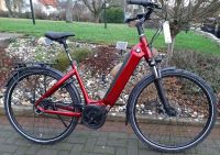 Velo DE Ville AEB890 E-Bike Bosch 75Nm Smart Nexus 5 Gang Riemen Hessen - Niestetal Vorschau