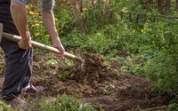 Hilfe bei der Gartenarbeit, Rasen mähen, umgraben, Löcher graben Mecklenburg-Vorpommern - Dreschvitz Vorschau