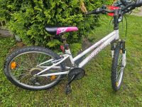 Avigo 24 Zoll Fahrrad Brandenburg - Brieselang Vorschau