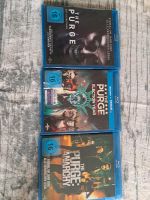 Purge Filme 1 bis 3 Bluray Thüringen - Sondershausen Vorschau