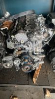 Isuzu Motor Engine Moteur 4JZ1 139R60 3,0 Turbo Diesel 2017 Nordrhein-Westfalen - Solingen Vorschau