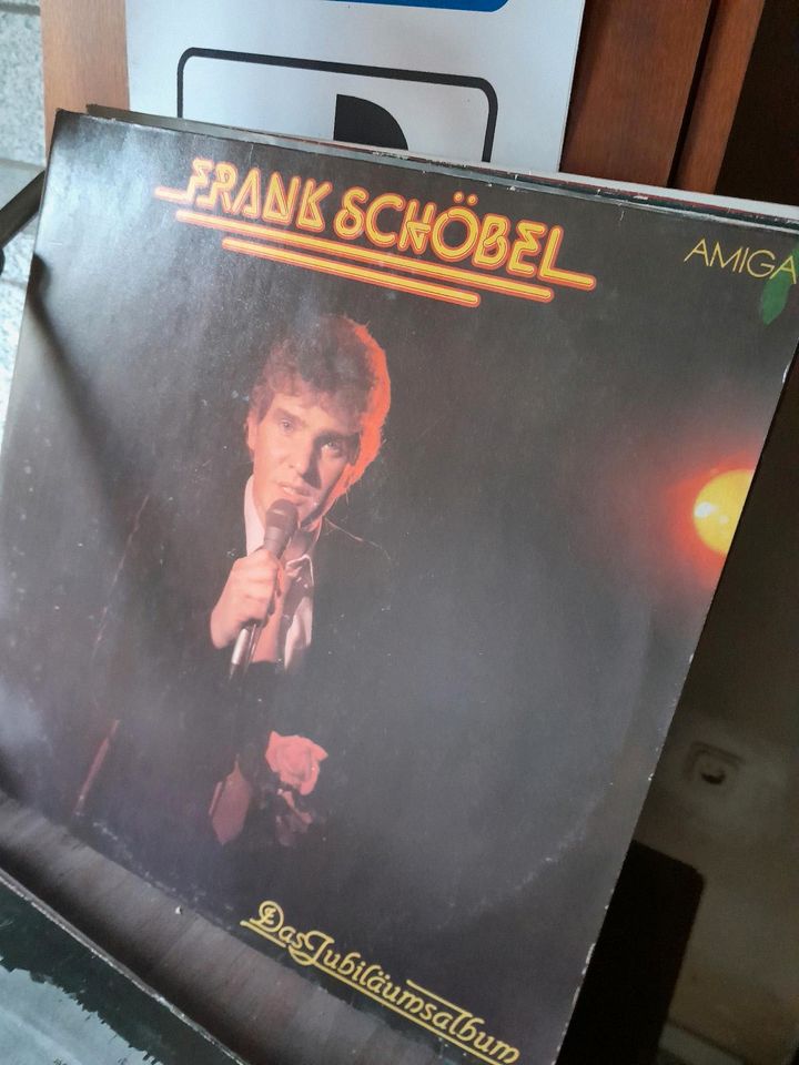 Schallplatten Puhdys Karat berluc Holger Biege Frank Schöbel in Lichtenberg/Erzgebirge