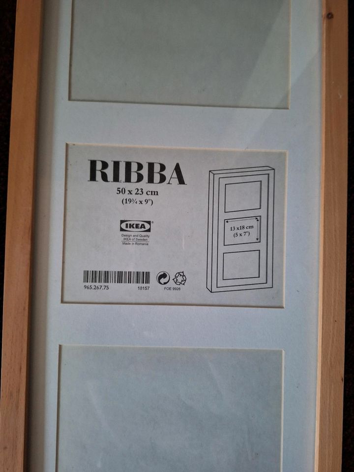 4 Ikea Ribba 50x23cm buche Bilderrahmen in Lutter am Barenberge