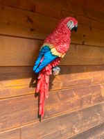 Deko Papagei zur Wandbefestigung Farbe Rot Rheinland-Pfalz - Waldbreitbach Vorschau