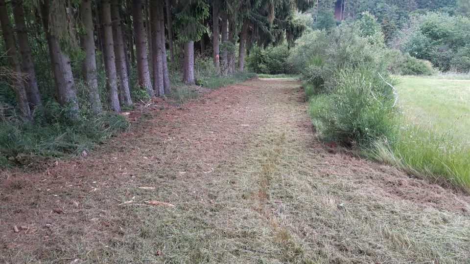 Mulchen Bauplatz Pferdeweiden Brachland Rekultivierung in Alpenrod