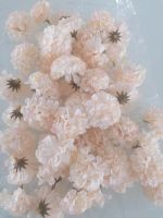 50 Blüten Blütenkopf Hortensien Nordrhein-Westfalen - Solingen Vorschau