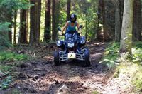 Geführte Quad On&Offroad Tour Bayrischer Wald in Rain Bayern - Rain Niederbay Vorschau