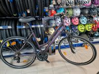 BBF 28" Crossrad Fahrrad Lila Sondermodell 21-Gang NEU UVP:649€ Mecklenburg-Vorpommern - Ahrenshagen-Daskow Vorschau