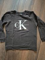 Calvin Klein Pullover S grau Niedersachsen - Diepholz Vorschau