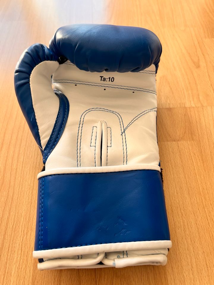 Everlast Boxhandschuhe Ta:10 in Lübeck