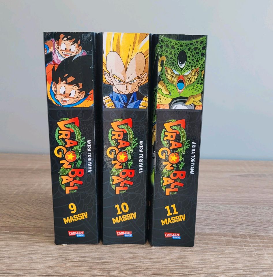 Dragonball massiv Manga in Dortmund