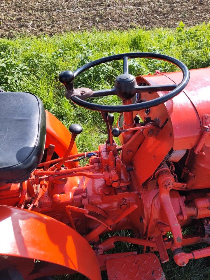 Traktor Krieger KS30 Schmalspurschlepper in Ubstadt-Weiher