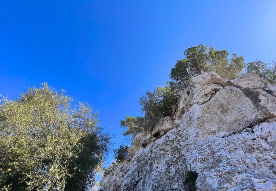 MALLORCA - SEASTAR Spektakuäre Villa am Strand mit ETV-Lizenz in Köln