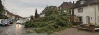 Sturmschaden,Baumfällung,Gartenarbeit Häfen - Bremerhaven Vorschau