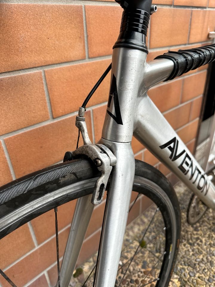 Aventon Mataro Low SINGLESPEED / FIXIE in Frankfurt am Main