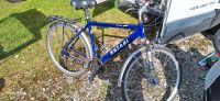 Fahrrad zu Verkaufen 28 zoll Nordrhein-Westfalen - Detmold Vorschau