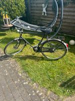 Gazelle Herrenrad 28 Zoll Bonn - Buschdorf Vorschau