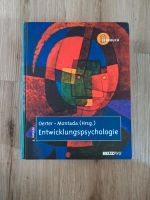Lehrbuch Psychologie Entwicklungspsychologie Baden-Württemberg - Ettlingen Vorschau
