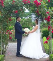 Hochzeitsfotograf kostenlos Paarshooting Familienfotos Geburtstag Niedersachsen - Bad Laer Vorschau