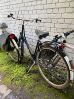 Rheinfels 28 Zoll Damenfahrrad Köln - Lindenthal Vorschau