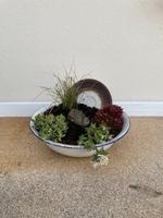 Emaille-Schale mit Sukkulenten/ Pflanzen 26 x 15 cm Deko Garten Niedersachsen - Garrel Vorschau