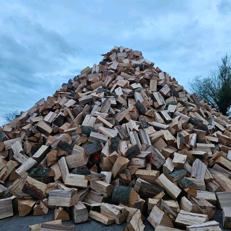 Brennholz Kaminholz Feuerholz Buche in Gründau