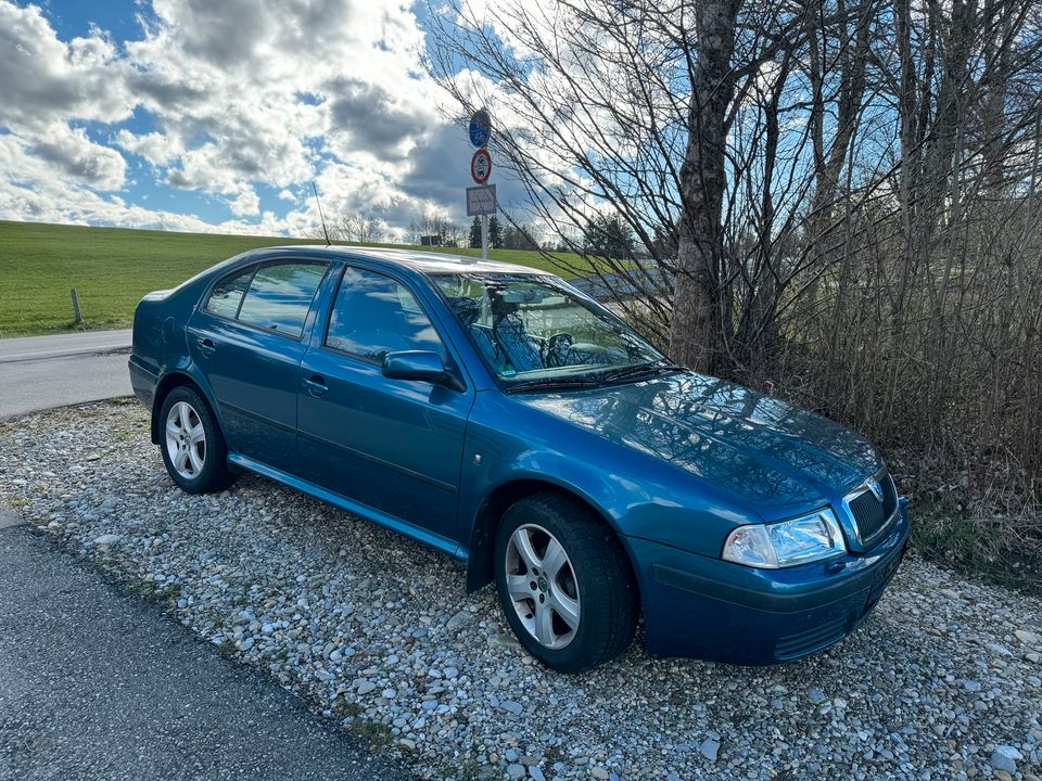 Skoda octavia in Buchenberg