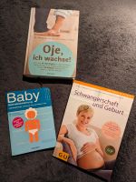 Oje ich wachse! Schwangerschaft Baby Bücher Sachsen-Anhalt - Kabelsketal Vorschau