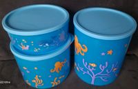 Tupperware Cubix Sealife NEU Hessen - Büttelborn Vorschau