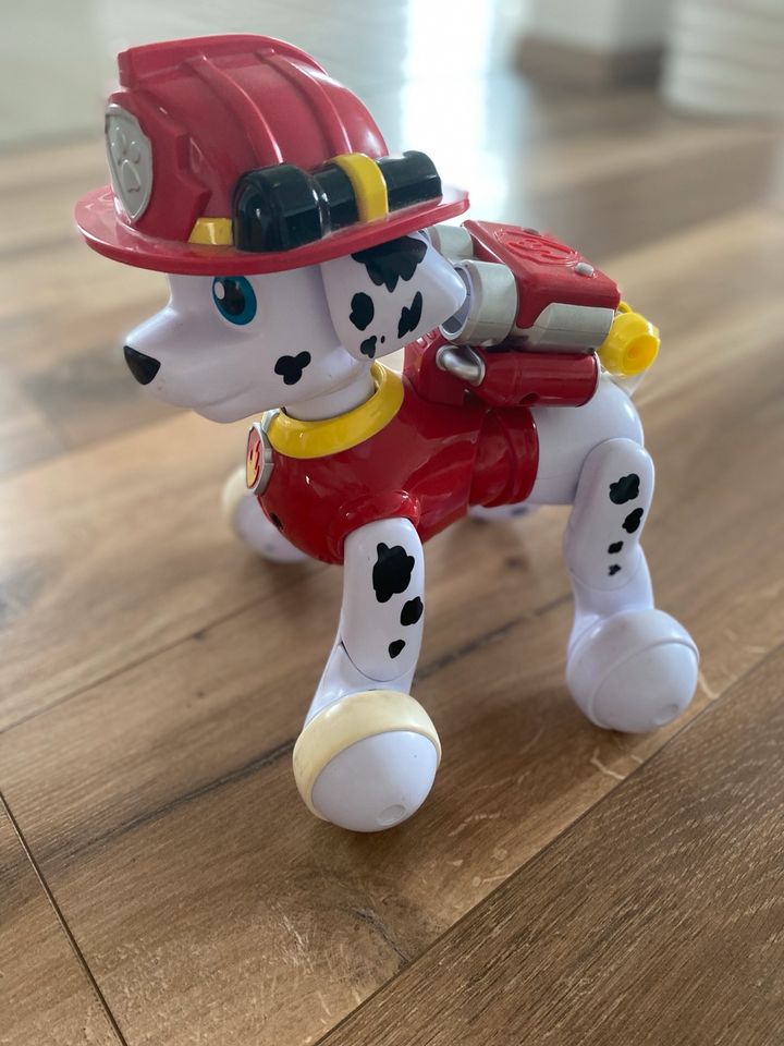 Paw Patrol Marshall fährt und spricht in Trier