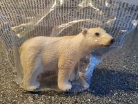 Schleich Eisbär Bär Neu & Unbespielt mit Etikett Fähnchen Düsseldorf - Angermund Vorschau