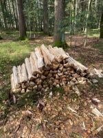 Brennholz ofenfertig - Fichte aus Bayerischen Wald Feldmoching-Hasenbergl - Feldmoching Vorschau