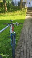 Herren Fahrrad Bielefeld - Stieghorst Vorschau