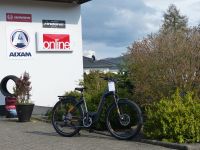 Haibike Trekking 10 Low E-Bike Bosch Performance CX Rahmen: 50 Hessen - Melsungen Vorschau