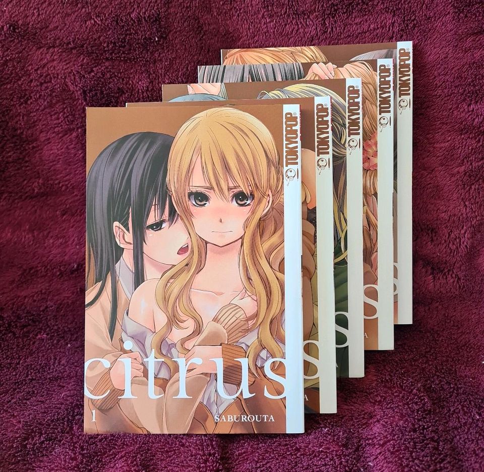 Citrus (1 - 5) - Saburouta in Halle