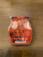 Scentsy Bar / Turning Red / Hessen - Schwalmtal Vorschau