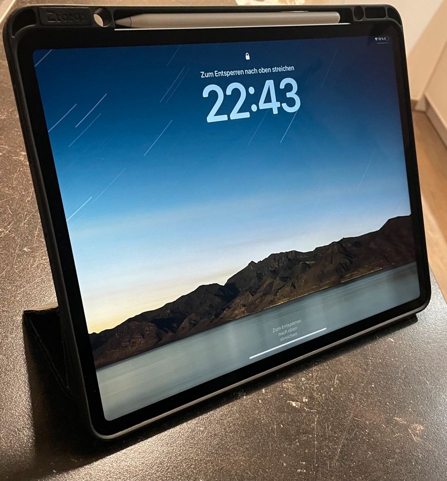 iPad Pro 12.9 Zoll 2018 in Weinböhla