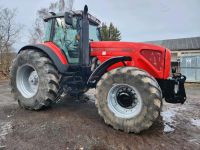 Traktor Schlepper Massey Ferguson 8280 Niedersachsen - Braunlage Vorschau