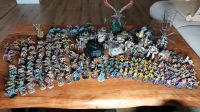 Große Warhammer 40k Death Guard Armee Nordrhein-Westfalen - Hennef (Sieg) Vorschau