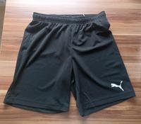 Puma Shorts Bayern - Waldkraiburg Vorschau