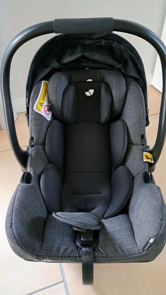 Joie Babyschale grau, Isofix Maxi Cosi in Garrel