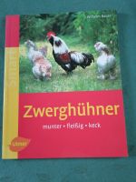 Zwerghühner Ulmer Verlag Bayern - Augsburg Vorschau