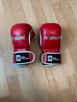 MMA Handschuhe Bayern - Regensburg Vorschau