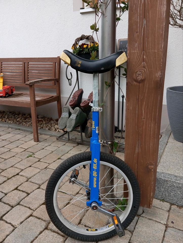 Einrad Quax für Kinder in Untergriesbach