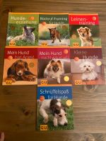 Buch Tierratgeber Hunde Haltung & Erziehung GU Verlag Ludwigslust - Landkreis - Dümmer Vorschau