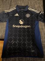 Manchester united Sachsen - Zwickau Vorschau